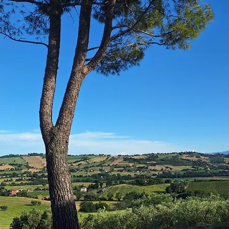 Casa Talent - Laguna شقة مونتي بورزيو